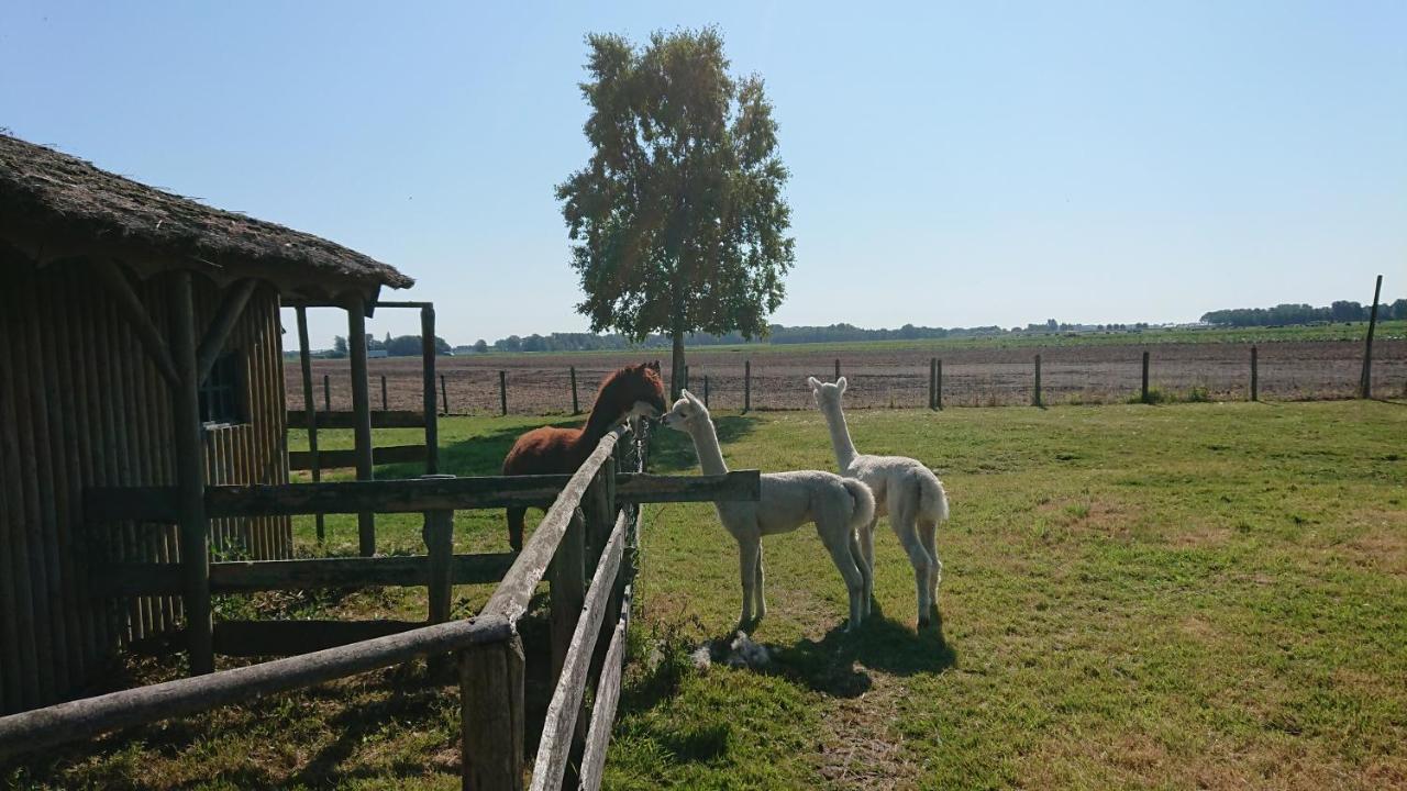 B&B Zusenzomer Oostwoud Extérieur photo